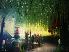 -观澜山水田园