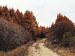 -塞罕坝国家级自然保护区