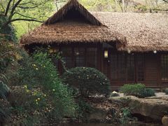 -中国茶叶博物馆(双峰馆区)