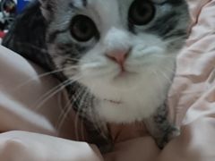 -瑞派福兴宠物医院犬猫全科·骨科·中西医结合(河东店)