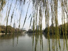 -包公祠
