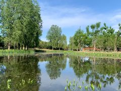 -东郊湿地公园
