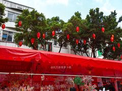 -越秀西湖花市(广州城市广场花卉店)