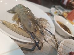 -九月海·海鲜自助(世纪东方店)