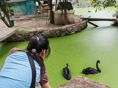 -荆州中山公园动物园