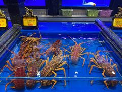 -万宝海鲜舫(劳动公园店)