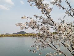 -羊山湖公园