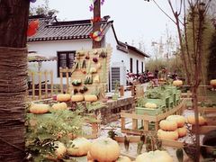 android_upload_pic-茯茶镇