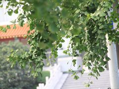 -经纬广场
