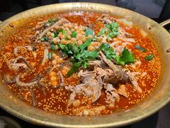 -张翻越·川渝冒菜·武汉黑鸭煲(城北万象城店)