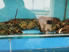 -港畔赶海蒸汽海鲜烧烤自助(仙螺岛店)