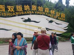 -西双版纳原始森林公园