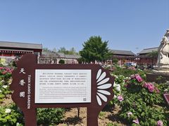 -曹州百花园