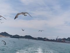 -海驴岛(荣成市)