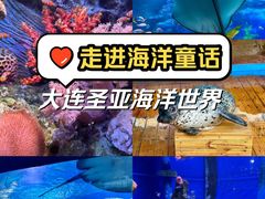 -大连圣亚海洋世界
