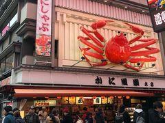 -蟹道乐(道顿堀本店)