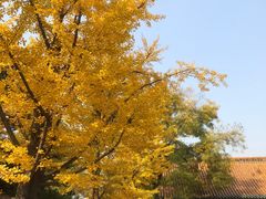 -晋祠公园