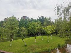 -沐仙湖湿地公园