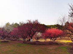 -潮府馆·非遗潮州菜·港式点心(世纪公园店)