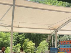 -将军关探险漂流