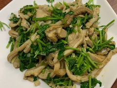 -新白家罩饼(三丰路店)