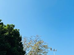 -中国客家博物馆