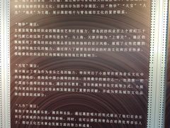 -树懒黑胶唱片店(中山路店)