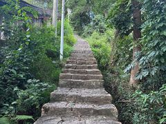 -青芝山风景名胜区