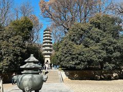 -灵谷景区