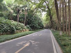 -采石矶景区