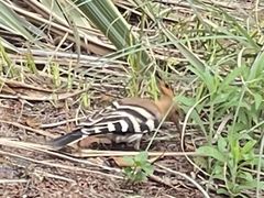 -呈贡滇池生态湿地公园