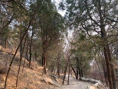 -阳台山自然风景区