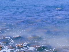 -西涌国际滨海旅游区