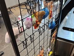 -盛京富丽园老菜馆·东北菜(和平南大街店)