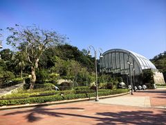 -石排湾郊野公园