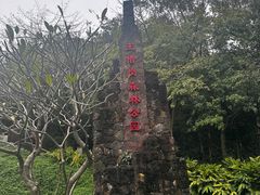 -王借岗森林公园