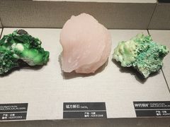 -河南自然博物馆