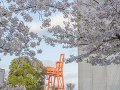 -龙美术馆西岸馆-停车场