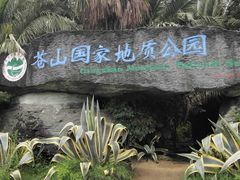 -苍山感通索道