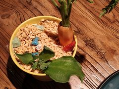 藜麦果蔬盆栽-嘉禾·悦享餐厅(八方汇店)