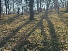 -观象山公园