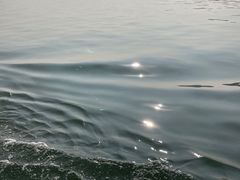 -西湖游船