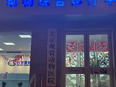 -北京观赏动物医院·24小时大型综合·猫专科·异宠专科