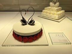 -BLACKSWAN黑天鹅(环球店)