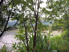 -西昌邛海湿地