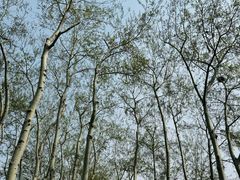 -元大都城垣遗址公园