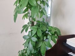 -旺顺阁鱼头泡饼(小红门店)