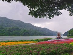 -广州市石门国家森林公园