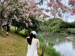 -四海公园(南山区)