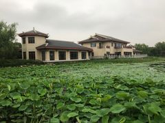 -大千天鹅湾温泉